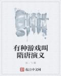 有没有关于隋唐的游戏