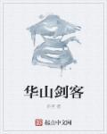 华山剑客国漫
