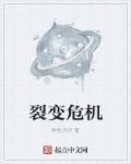 裂变是指