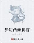 梦幻西游刺客之魂怎么打