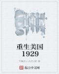 重生美国九十年代的