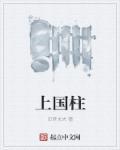 上国柱属于什么档次