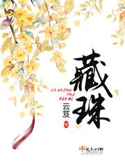 藏珠云芨全文无弹窗免费阅读