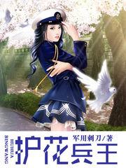 护花兵王在都市苏南