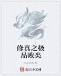 穿越之极品修仙网站