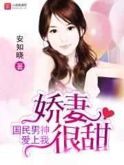 国民男神爱上我小乔