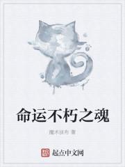命运战歌不朽宝藏活动