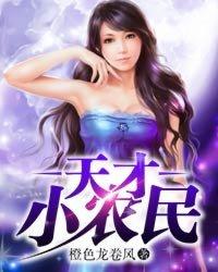 天才小农民txt全集