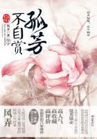 孤芳不自赏(下)