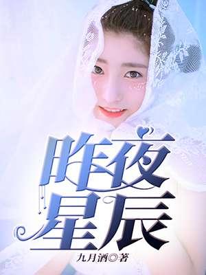 昨夜星辰书籍