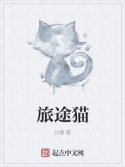 旅途猫的灵魂碎片