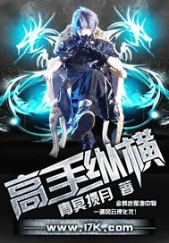 纵横全职高手