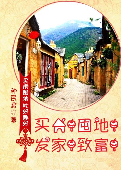 买房囤地发家致富by种民君txt