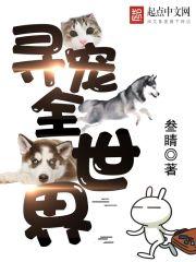 寻宠小程序