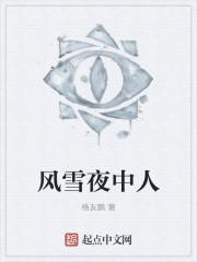 风雪夜中人课件