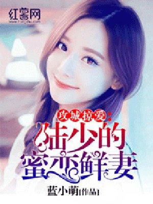 宠旧爱·陆少的秘密恋人