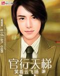 官行天梯全文免费阅读无弹窗