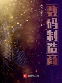 数码公司有哪些