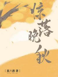 惊落晚秋by夏六愚讲的什么