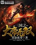 三国之无敌大皇子