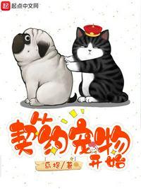 从契约宠物开始苏白