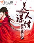 美人谋律电视剧叫什么