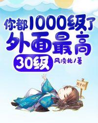 外面最高30级等级划分 无错版