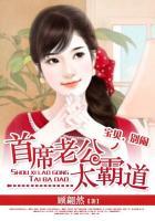 首席老公霸道宠宝贝继续小九