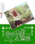 腹黑总裁太凶猛免费阅读全文