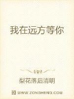 我在远方等你歌词完整版