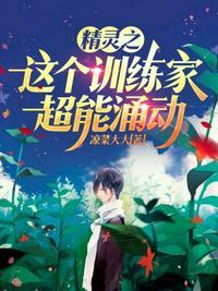 精灵之平民训练家