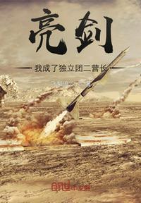 亮剑之我是二营长沈泉