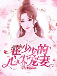 霍少心尖宠霍少霆全文免费读