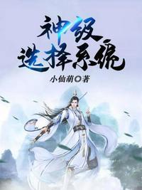 隋唐神级选择系统