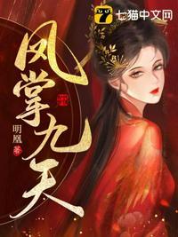 凤掌九天原著