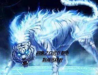 白虎类象
