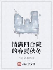 情满四合院开会