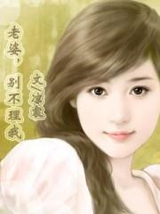 老婆不理我怎么说