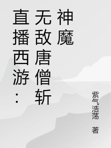 8无敌唐僧闯西游西游豆