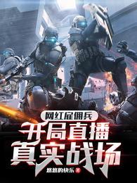 雇佣兵真实采访