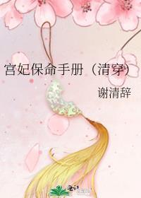 宫妃保命手册(清穿)番外