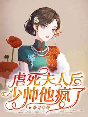 少帅他疯了! 茶寻