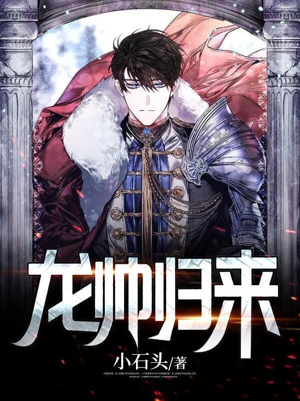 龙帅归来之京海风云全集