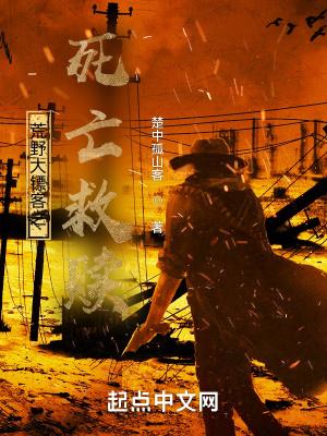 荒野大镖客之死亡救赎游戏