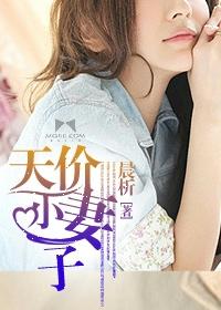 天价小妻子百度