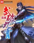 武破九霄叶梵天白发是多少章