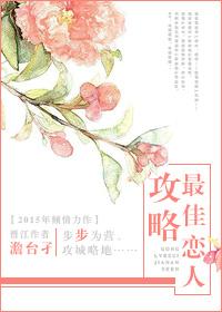 攻略那个