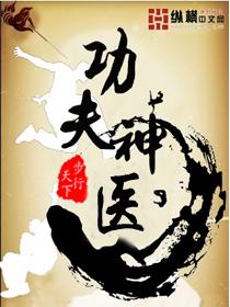 功夫神医全集abc