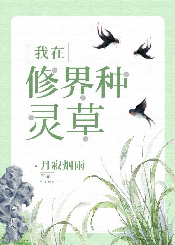 我在修界种灵草月寂烟雨免费阅读