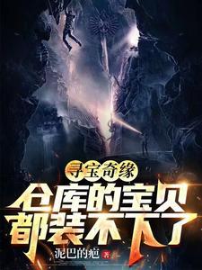 寻宝奇缘仓库的宝贝都装不下了短剧全集